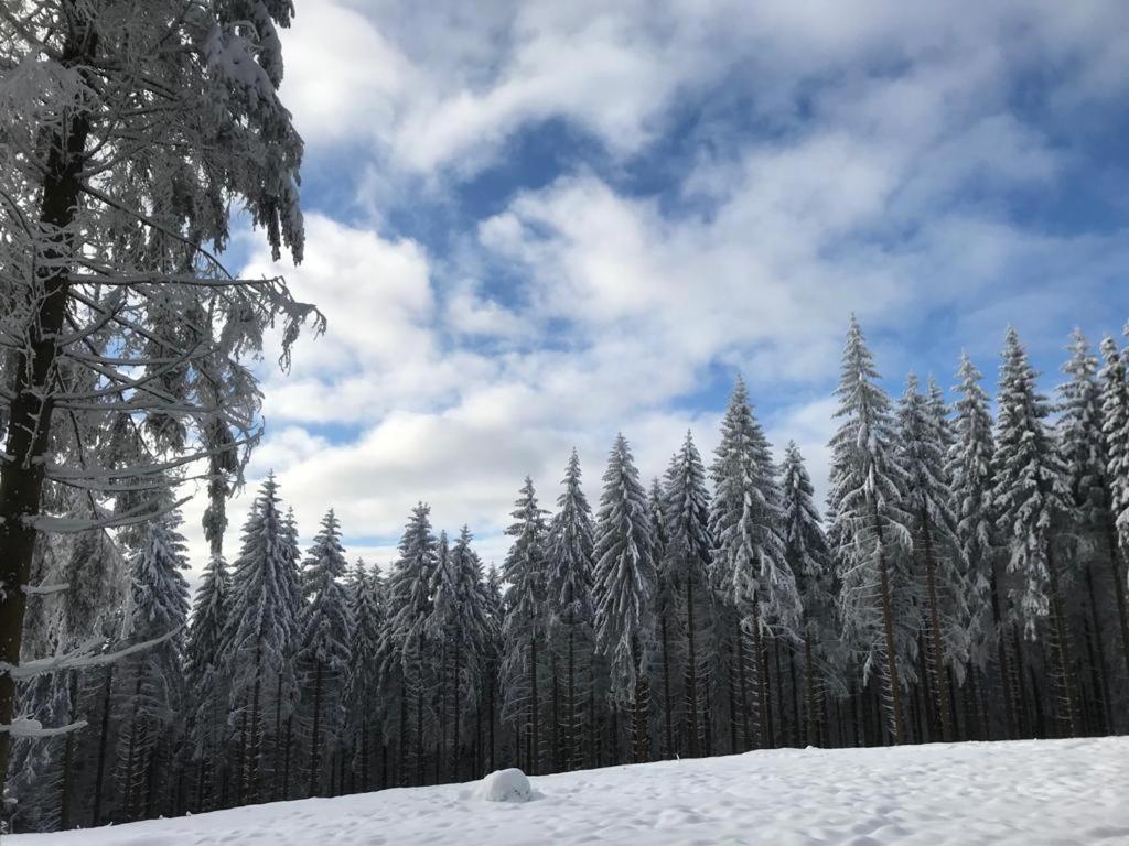 Apartment Heartbeat Winterberg Esterno foto